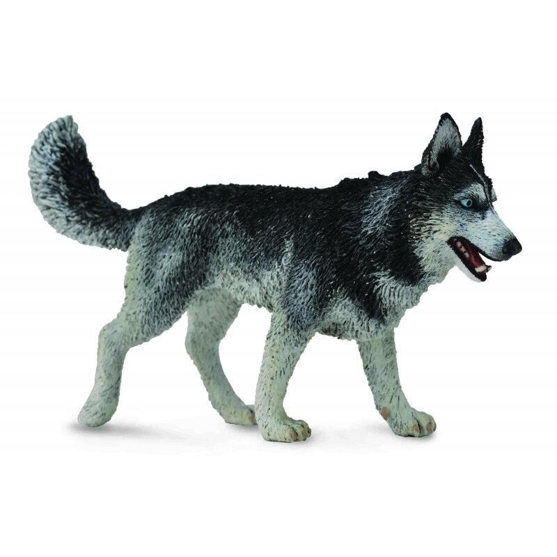 Collecta - figurina catel husky siberian l