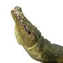Mojo - Figurina Crocodil - 6