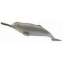 Collecta - Figurina Delfin de Gange M - 1