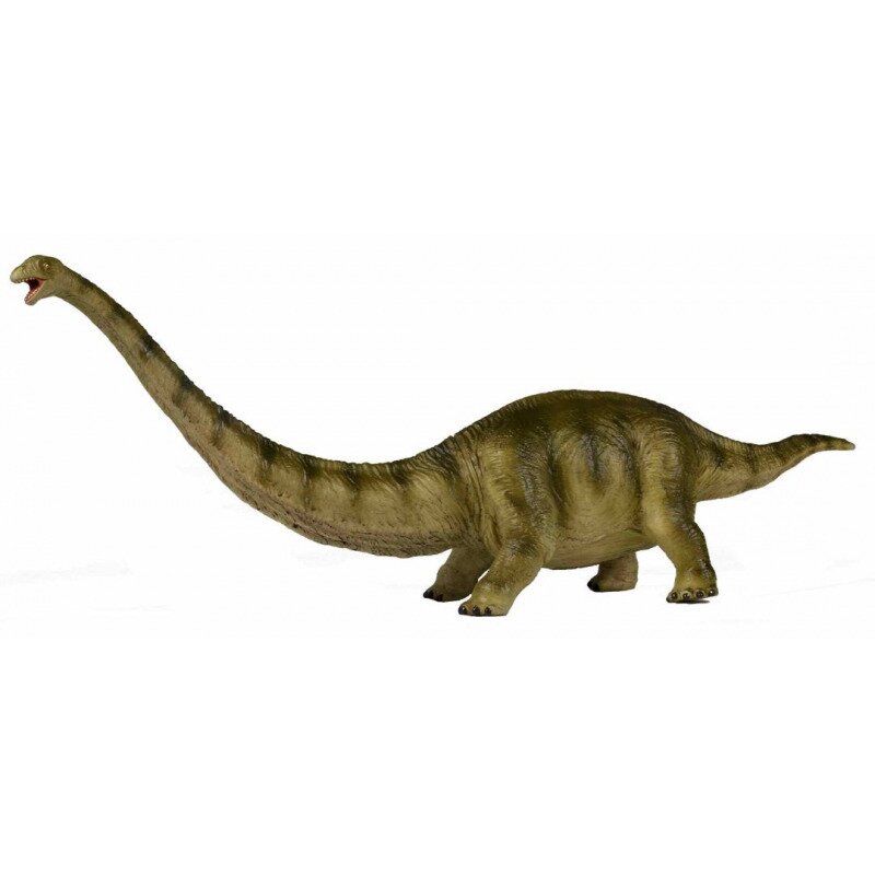 Figurina Dinozaur-Mamenchisaurus 40.5cm