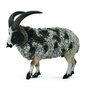 Collecta - Figurina Jacob Sheep L - 1