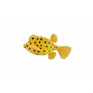 Collecta - Figurina Peste Cubicus Boxfish S