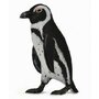 Collecta - Figurina Pinguin Sud African S - 1