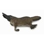 Collecta - Figurina Platypus M - 1