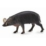 Collecta - Figurina Porc Sulawesi Babirusa L - 1