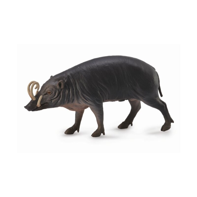 Collecta - Figurina Porc Sulawesi Babirusa L