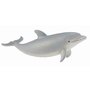 Collecta - Figurina Pui de delfin Bottlenose S - 1