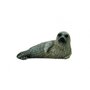 Collecta - Figurina Pui de foca S - 1