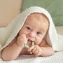 Inel de dentitie, Giligums, Mar, Pentru masajul gingiilor, Din silicon, Fara BPA, 3 luni+, Verde - 3