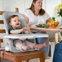 Scaun inalt de masa, Ingenuity, Multifunctional, Cu functii diverse, Inclinare in 3 pozitii, Cu suport picioare reglabil in 2 pozitii, Cu tavita detasabila si reglabila cu o singura mana, Cu 3 pozitii de blocare, Cu roti, Cu vibratii, 0-5 ani, Gri - 21