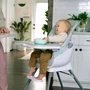 Scaun inalt de masa, Ingenuity, Multifunctional, Cu functii diverse, Inclinare in 3 pozitii, Cu suport picioare reglabil in 2 pozitii, Cu tavita detasabila si reglabila cu o singura mana, Cu 3 pozitii de blocare, Cu roti, Cu vibratii, 0-5 ani, Gri - 25