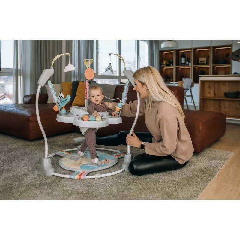 Jumperoo Image 3