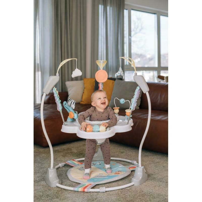 Jumperoo Image 2