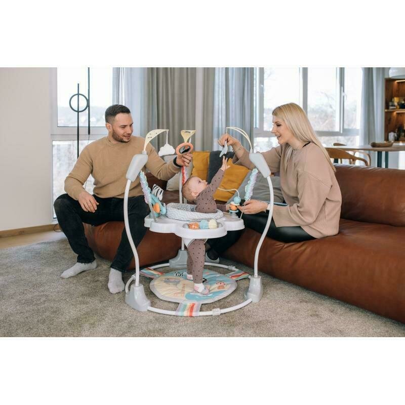 Jumperoo Image 4