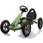 Kidscare - Kart cu pedale si roti gonflabile Karera Verde - 1