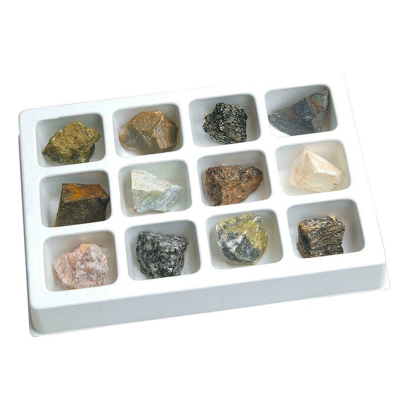 Educational insights - kit paleontologie - roci metamorfice