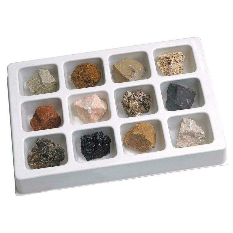 Educational insights - kit paleontologie - roci sedimentare