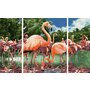 Simba - Pictura pe numere Flamingo , Schipper , 3 tablouri, Multicolor - 1
