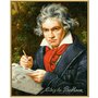 Simba - Pictura pe numere Ludwig Van Beethoven , Schipper - 2