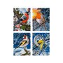 Simba - Pictura pe numere Iarna pasari zgribulite , Schipper , 4 tablouri, Multicolor - 1