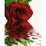 Simba - Pictura pe numere Trandafirul rosu , Schipper, Multicolor - 1