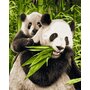 Simba - Pictura pe numere Ursuletii panda , Schipper - 3