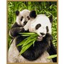 Simba - Pictura pe numere Ursuletii panda , Schipper - 4