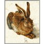Simba - Pictura pe numere Young hare de albrecht durer , Schipper, Multicolor - 9