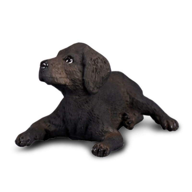Collecta - labrador retriever pui
