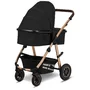 Carucior 2 in 1, Lionelo, Amber, Cadru aluminiu, Cu landou intarit si salteluta moale, Reversibil, Maner ajustabil, Huse pentru picioare, ploaie, Plasa de tantari, Geanta parinti, Pana la 22 kg, EN1888-1, EN1888-2, EN1466, Negru - 10