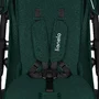 Carucior sport, Lionelo, Annet Plus, De la nastere, Cu accesorii si capotina XXL reglabila, 0 - 22 Kg, Conform cu standardele europene de securitate EN1888-1 si EN1888-2, Verde - 13