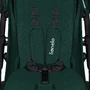 Carucior sport, Lionelo, Annet Plus, De la nastere, Cu accesorii si capotina XXL reglabila, 0 - 22 Kg, Conform cu standardele europene de securitate EN1888-1 si EN1888-2, Verde - 14