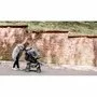 Carucior sport, Lionelo, Emma Plus, Cu tavita, 2 Suporturi pentru pahar, Geanta accesorii, Conform cu standardul european de securitate EN1888-1, Stone - 29