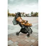 Carucior sport, Lionelo, Julie One, De la nastere, Greutate redusa, Cu accesorii, Cadru din aluminiu, 0-22 kg, Pliere compacta pentru avion, Conform cu standardele europene de securitate EN1888-1 si EN1888-2, Negru - 22