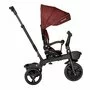 Tricicleta copii, Lionelo, Kori, Ultrapliabila, Multifunctionala. Cu suport de picioare, Control al directiei, Scaun reversibil, Rotire 360 grade, Conform cu standardul europeane de securitate EN71, Red Burgundy - 15