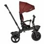 Tricicleta copii, Lionelo, Kori, Ultrapliabila, Multifunctionala. Cu suport de picioare, Control al directiei, Scaun reversibil, Rotire 360 grade, Conform cu standardul europeane de securitate EN71, Red Burgundy - 16