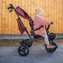 Tricicleta copii, Lionelo, Kori, Ultrapliabila, Multifunctionala. Cu suport de picioare, Control al directiei, Scaun reversibil, Rotire 360 grade, Conform cu standardul europeane de securitate EN71, Red Burgundy - 27