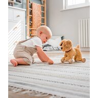 Little Bird Told Me - Dexter Dog Pull Along Toy cu roti detasabile, Golden Labrador Soft Cuddly Dog Toy pentru copii