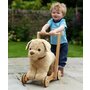 Little Bird Told Me - Dexter Dog Walker, Push Along  Ride On Toy pentru copii de peste 1 an, Golden Labrador Caine Pufos pentru copii mici, Cadru robust din lemn, Scaun captusit - 4
