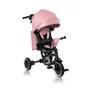 Tricicleta copii, Lionelo, Tris Plus, Ultrapliabila, Multifunctionala, Pana la 25 kg, Inclinare spatar in fata si in spate, Suport picioare, Control al directiei, Scaun reversibil, Rotire 360 grade, Conform cu EN71, 9 luni-5 ani, Roz - 1