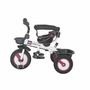 Tricicleta multifunctionala MamaLove Rider Violet - 13