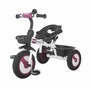Tricicleta multifunctionala MamaLove Rider Violet - 16