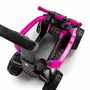 Masinuta de impins, Baby Mix, Mega, Pana la 30 kg, Cu maner de impins, Cu suport picioare, Cu protectii laterale, Cu sunete, 12 luni+, Pink - 12