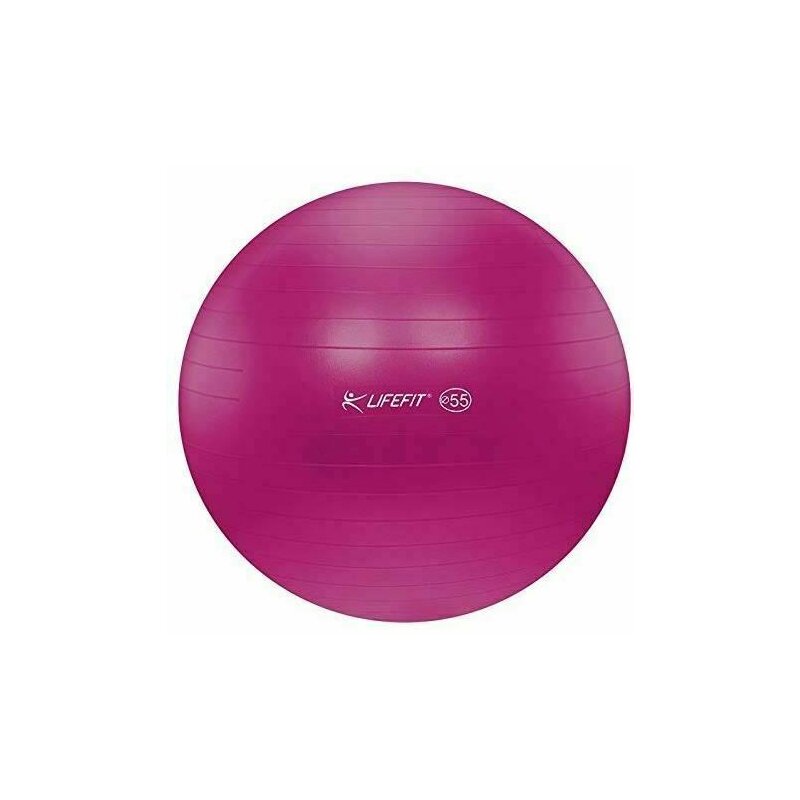 Dhs - minge gimnastica 65cm bordo