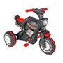 Motocicleta copii, Pilsan, Cu pedale Cobra 6V Cu lant - 7