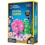 National Geographic - Kit Creativ Gradina De Cristale - 3
