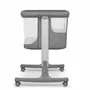 Pachet complet pentru primele zile, Carucior 3 in 1, Lionelo, Bianka, Transformabil, Cu landou, salteluta moale, geanta pentru parinti + Patut co-sleeper, Lionelo, Aurora, 3 in 1, Cu saltea si geanta transport, Gri - 13