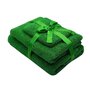 Somnart - PACHET PROMO: 1 Set prosoape 3 piese Verde + Solutie de geamuri 1 kg + Set lavete uscate universale - 4