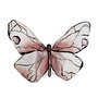 Perna - Butterfly - 1