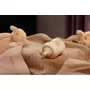 Set 2 biberoane, Philips Avent, Natural Response, Cu supapa AirFree, 0-3 luni, debit 2 (lent), 125 ml, Fara BPA, Anticolici, Alb - 9